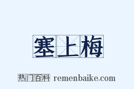 塞上梅是什么意思的图片